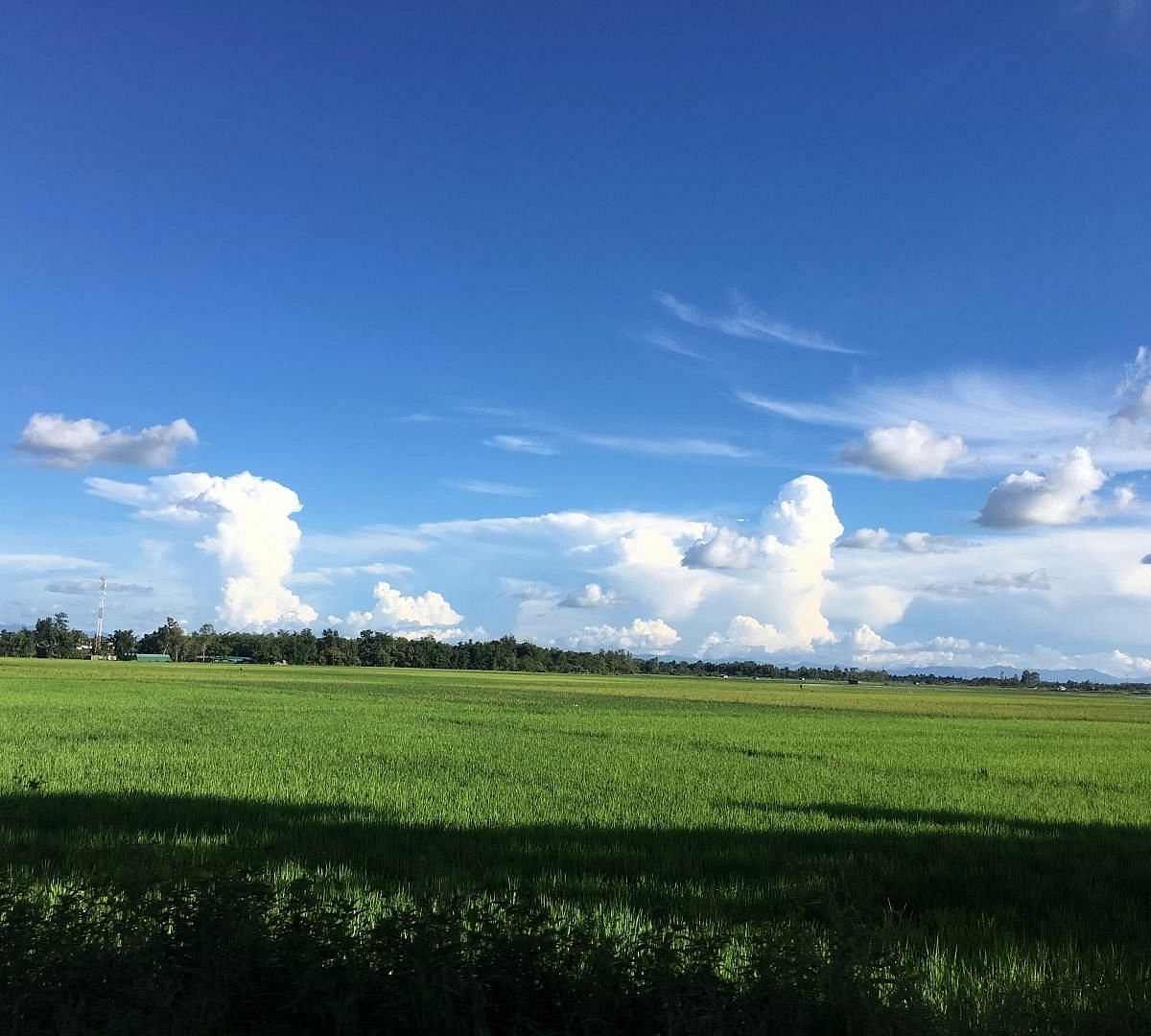 blog-images