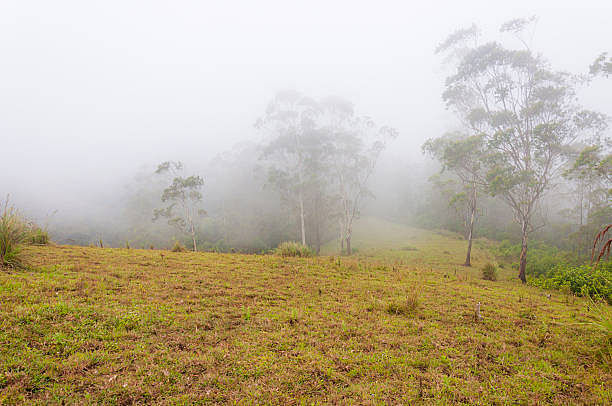 blog-images
