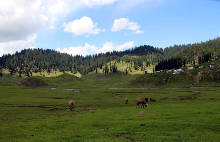 things-to-do-in-bangus-valley