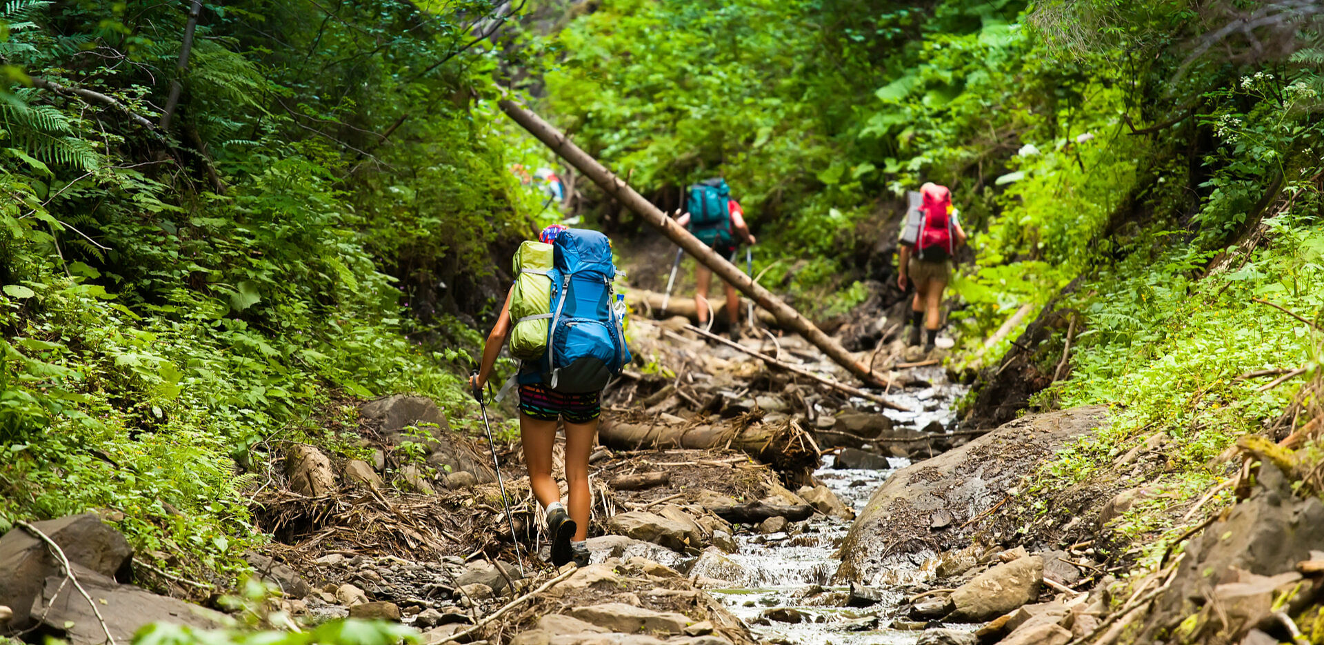 treks-in-shimla