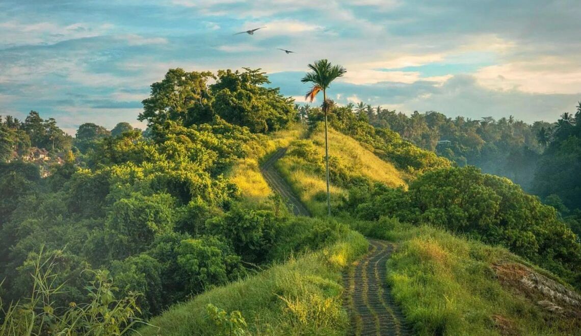 tripura-monsoon