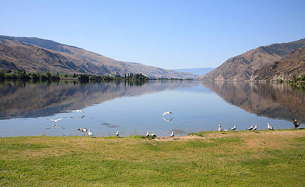 blog-images