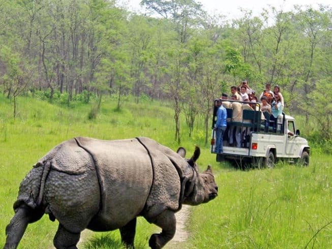 Wildlife Safaris in Malaysia