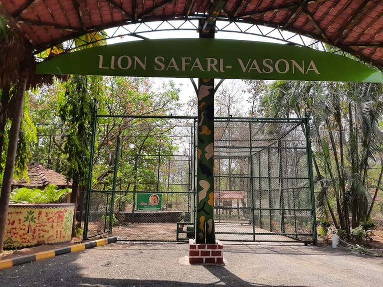 a-complete-guide-to-silvassa-vasona-lion-safari