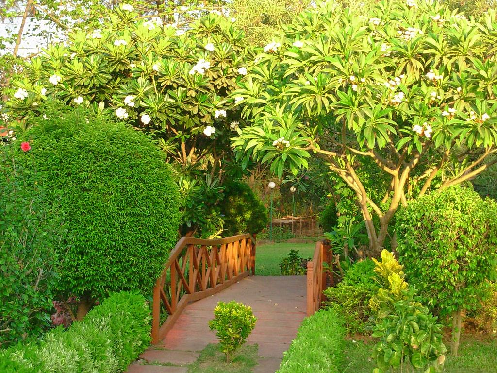 Unveiling the Best Things to Do in Khanvel: A Traveler&#8217;s Paradise