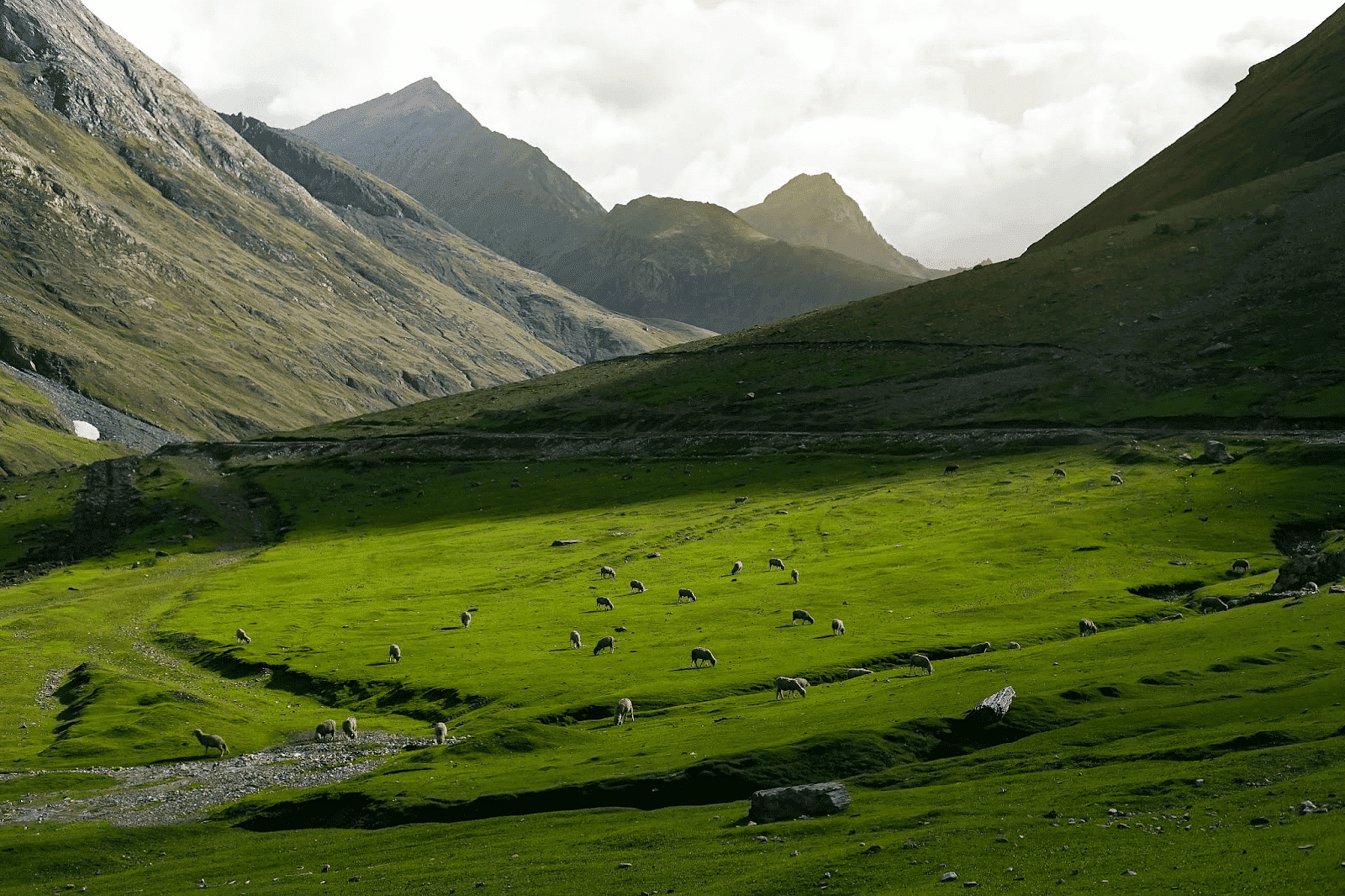 blog-images