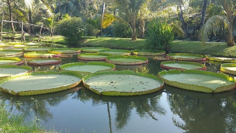 blog-images