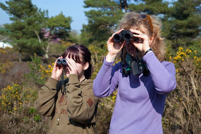 blog-images