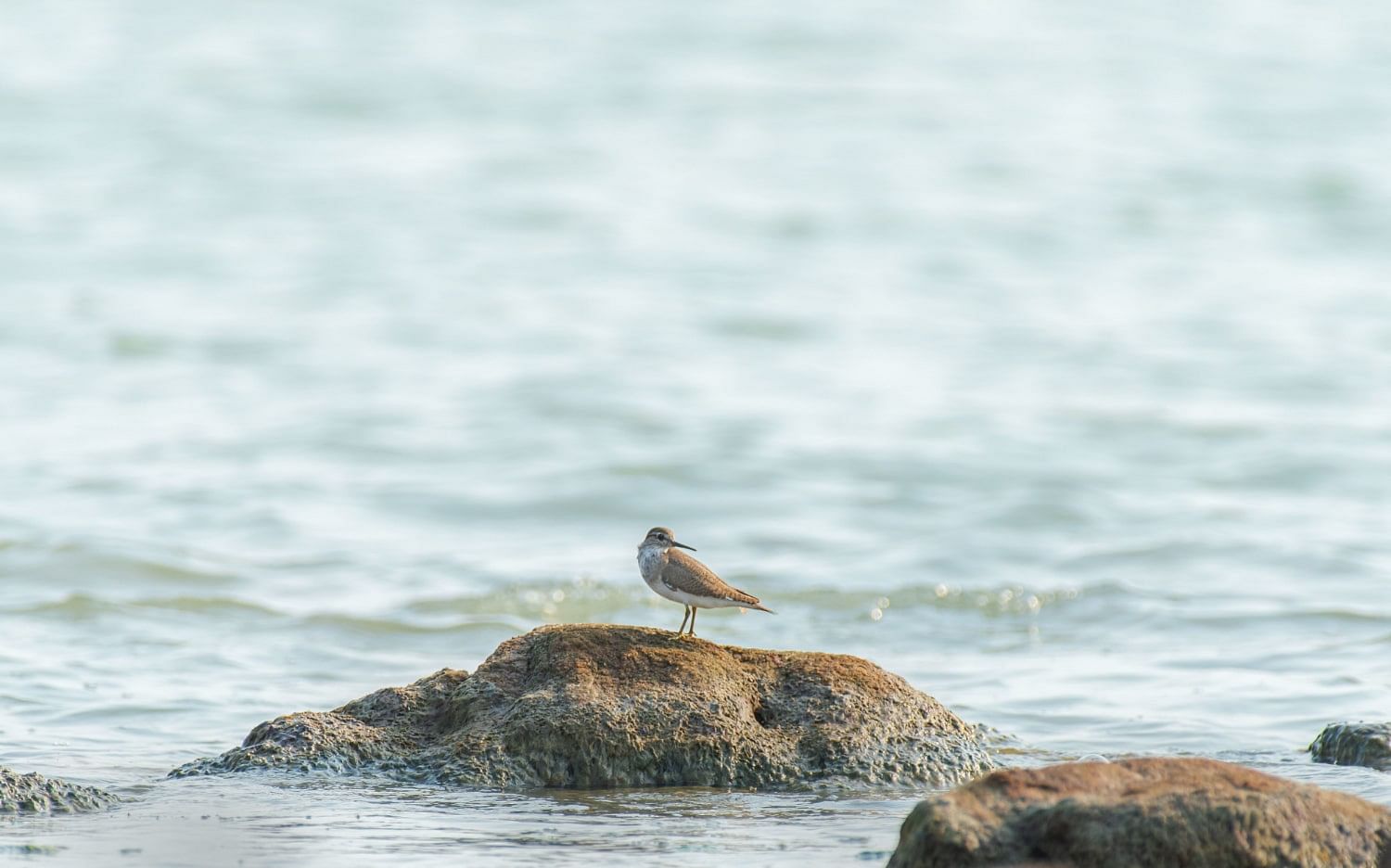 blog-images