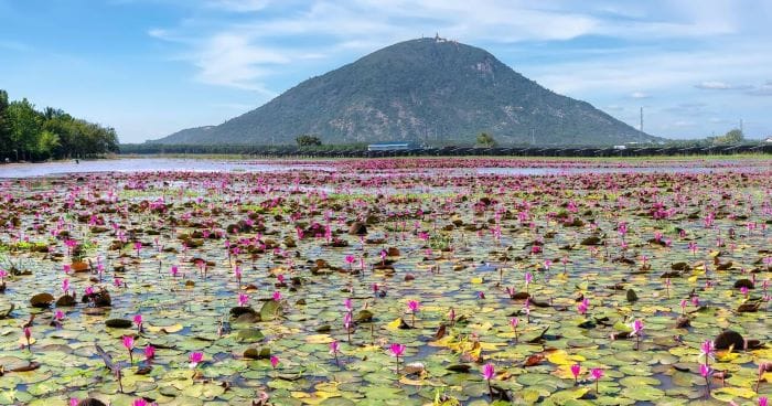 black-virgin-mountain