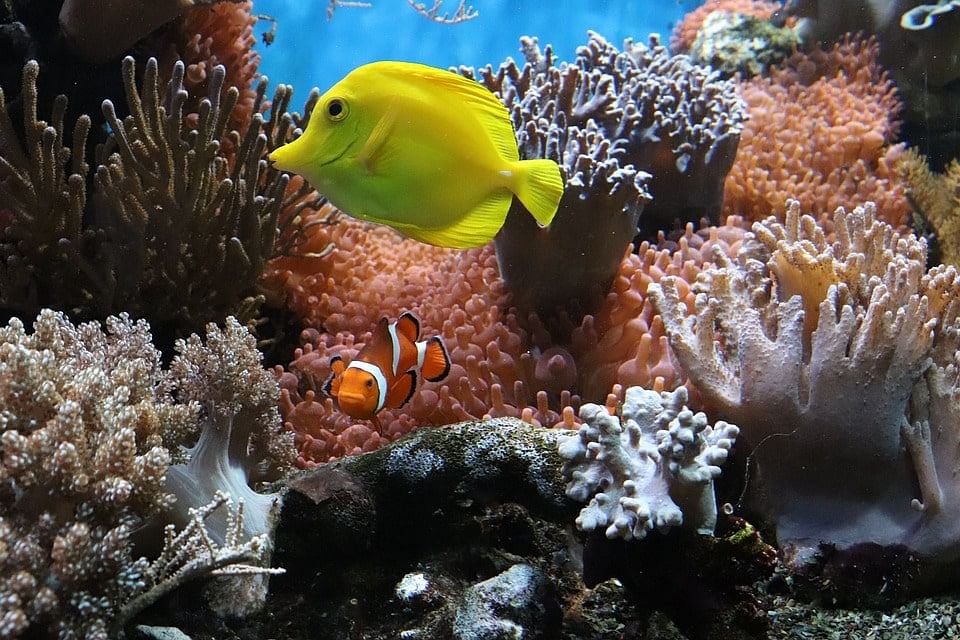 blog-images