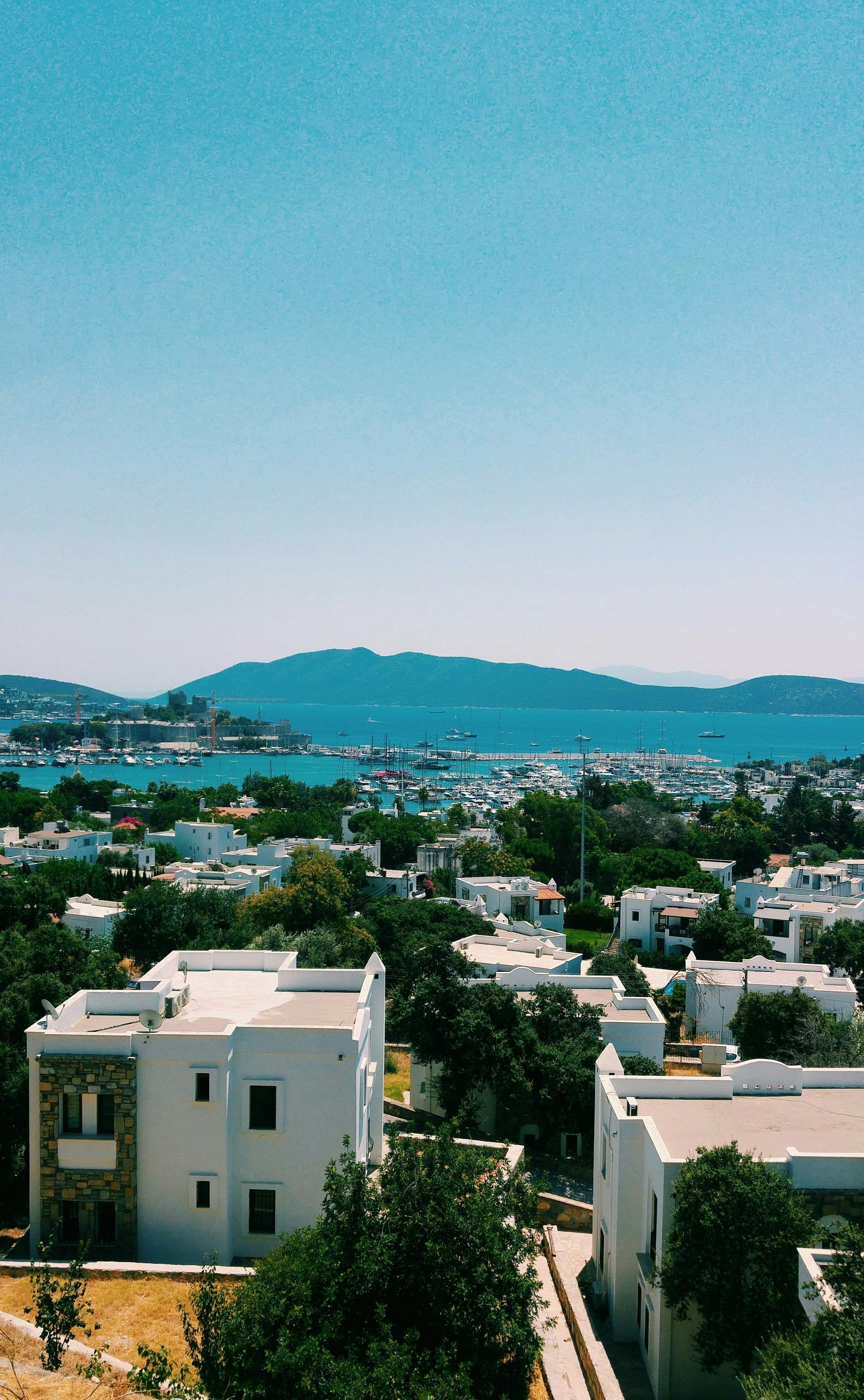 blog-images