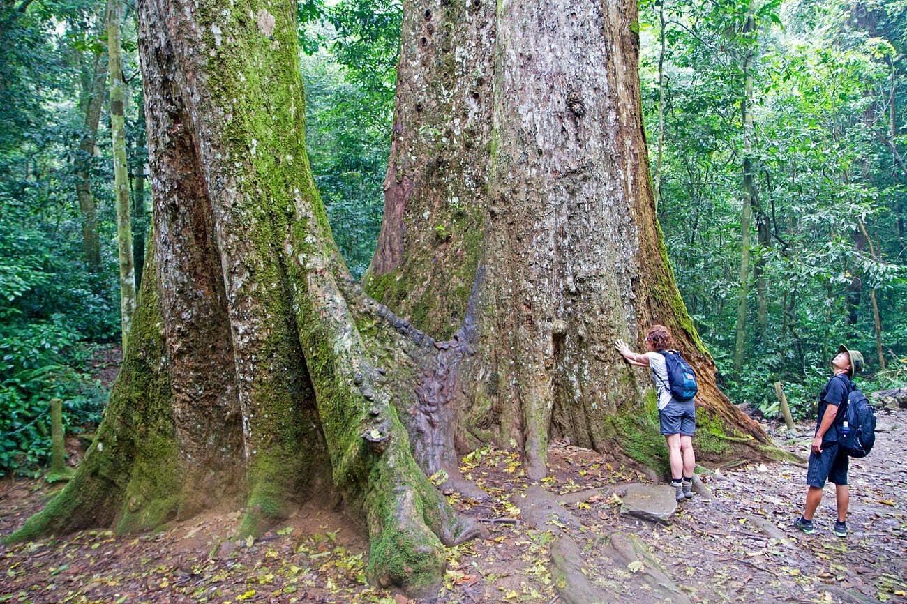 cuc-phuong-national-park-vietnam