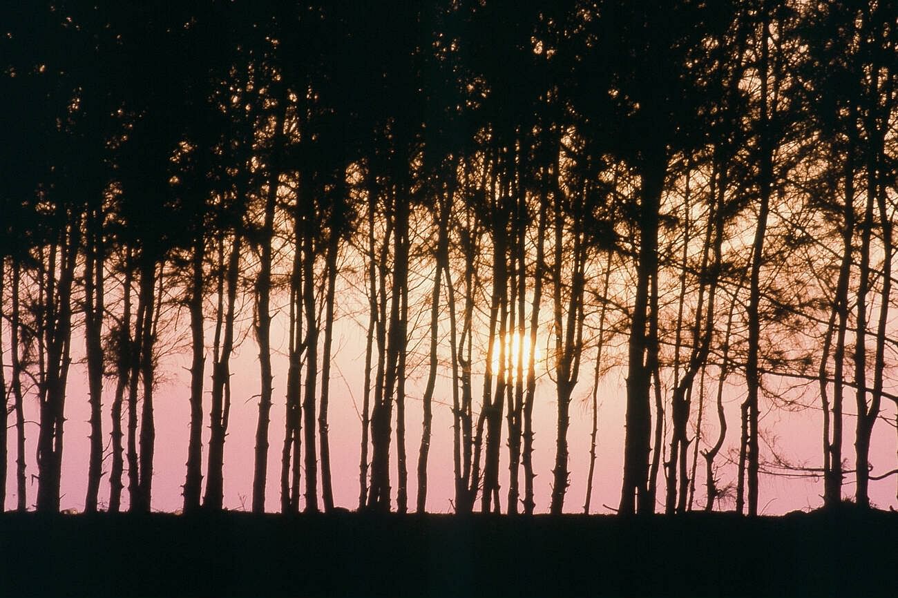 blog-images