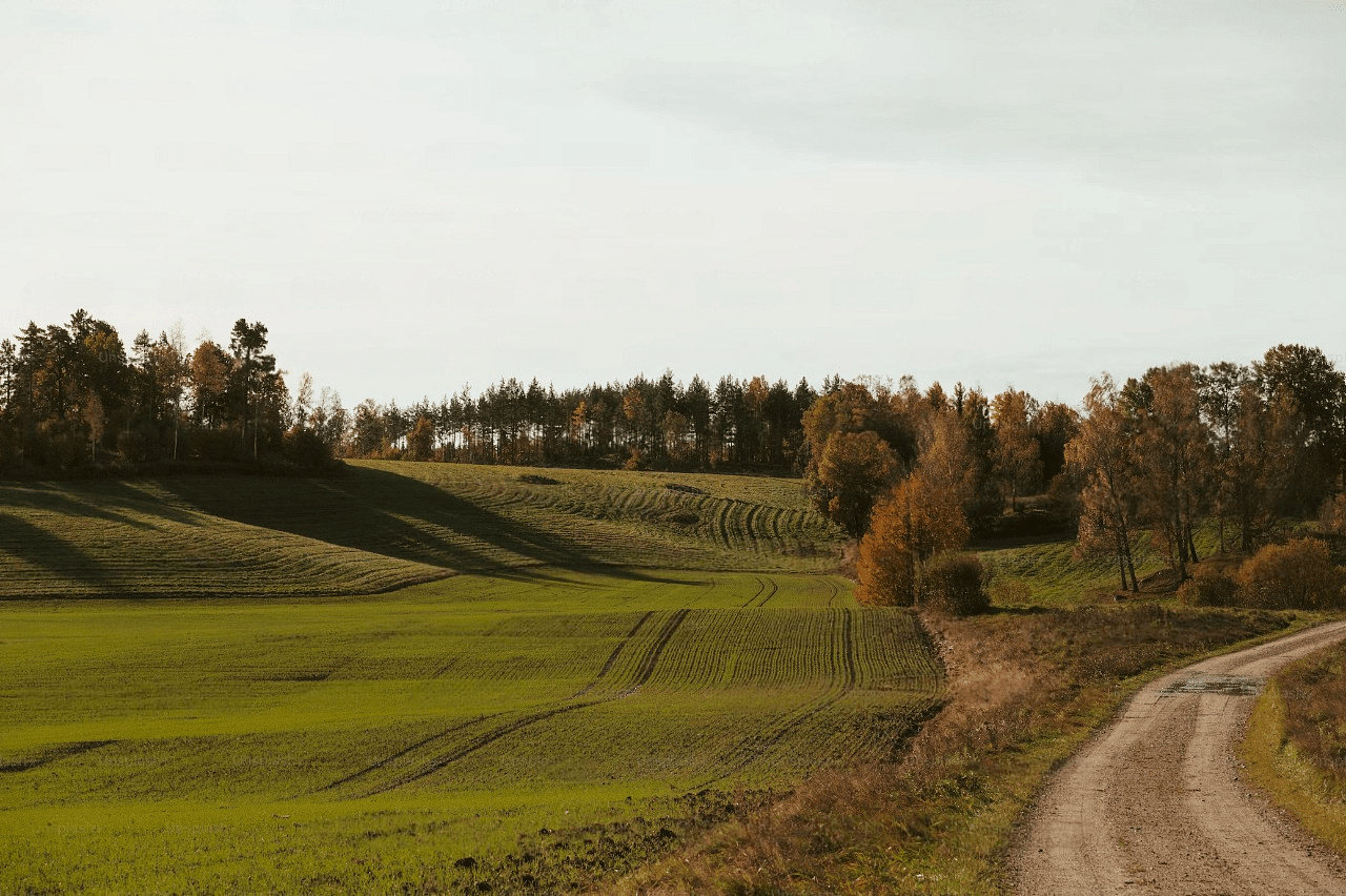 blog-images