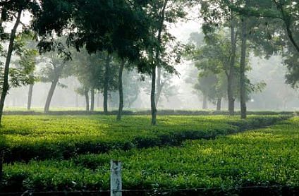 dibrugarh