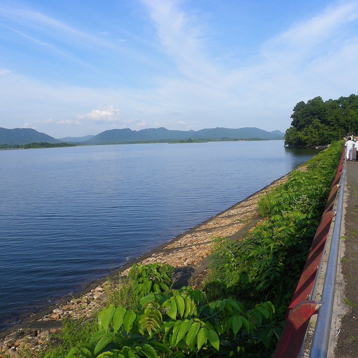 blog-images