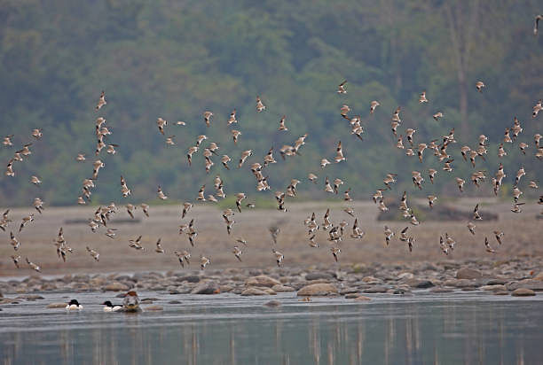blog-images