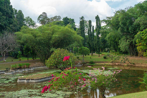 blog-images