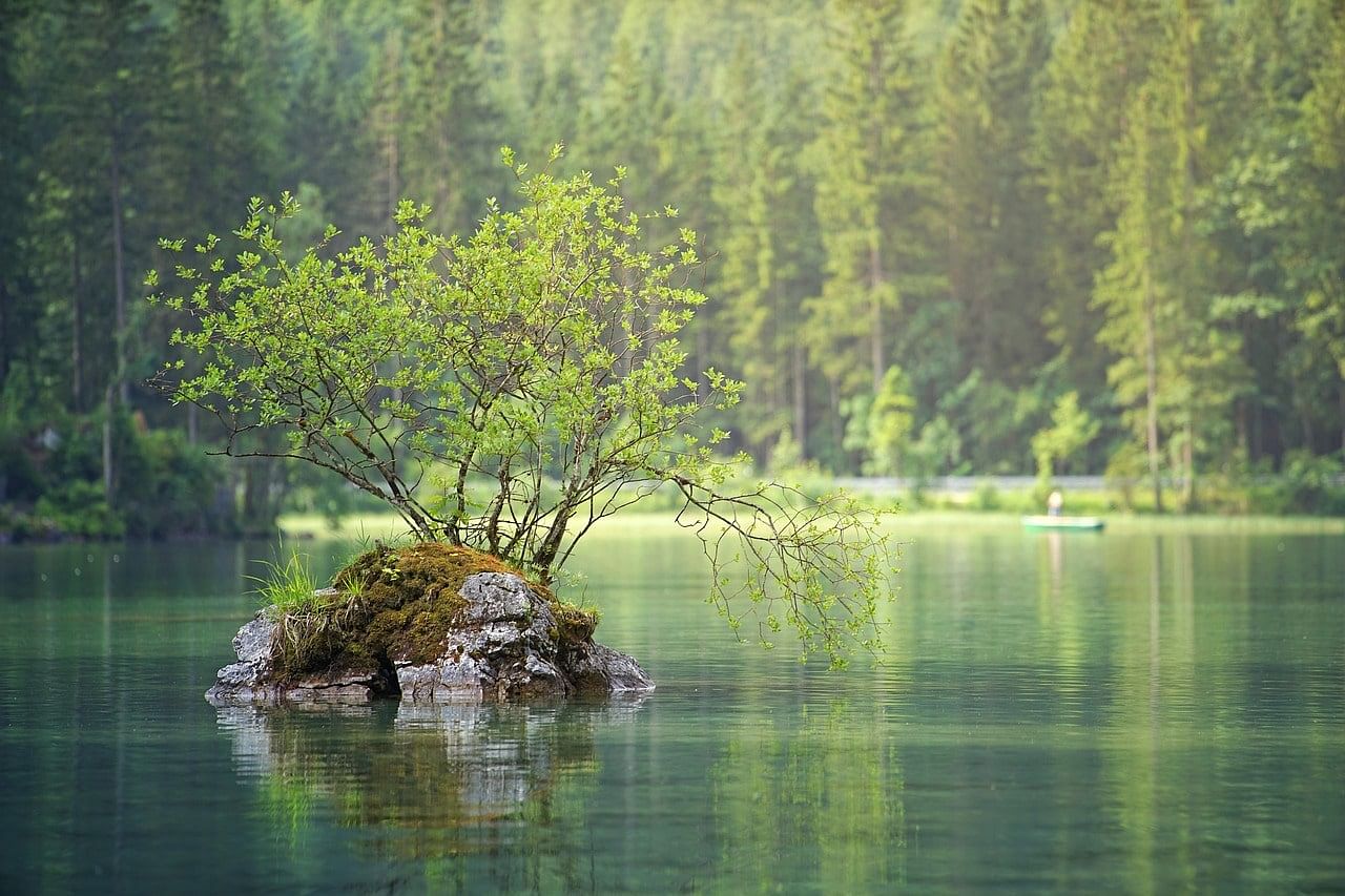 blog-images