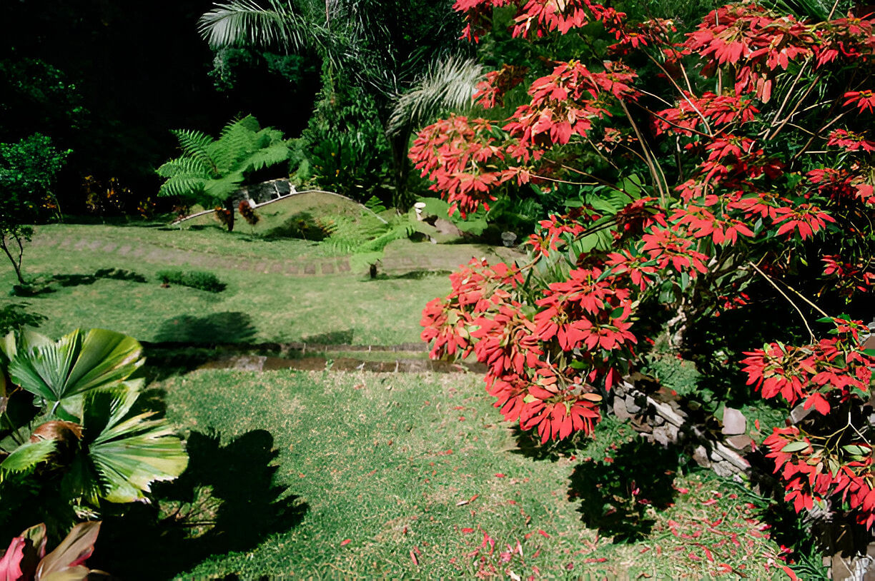 blog-images