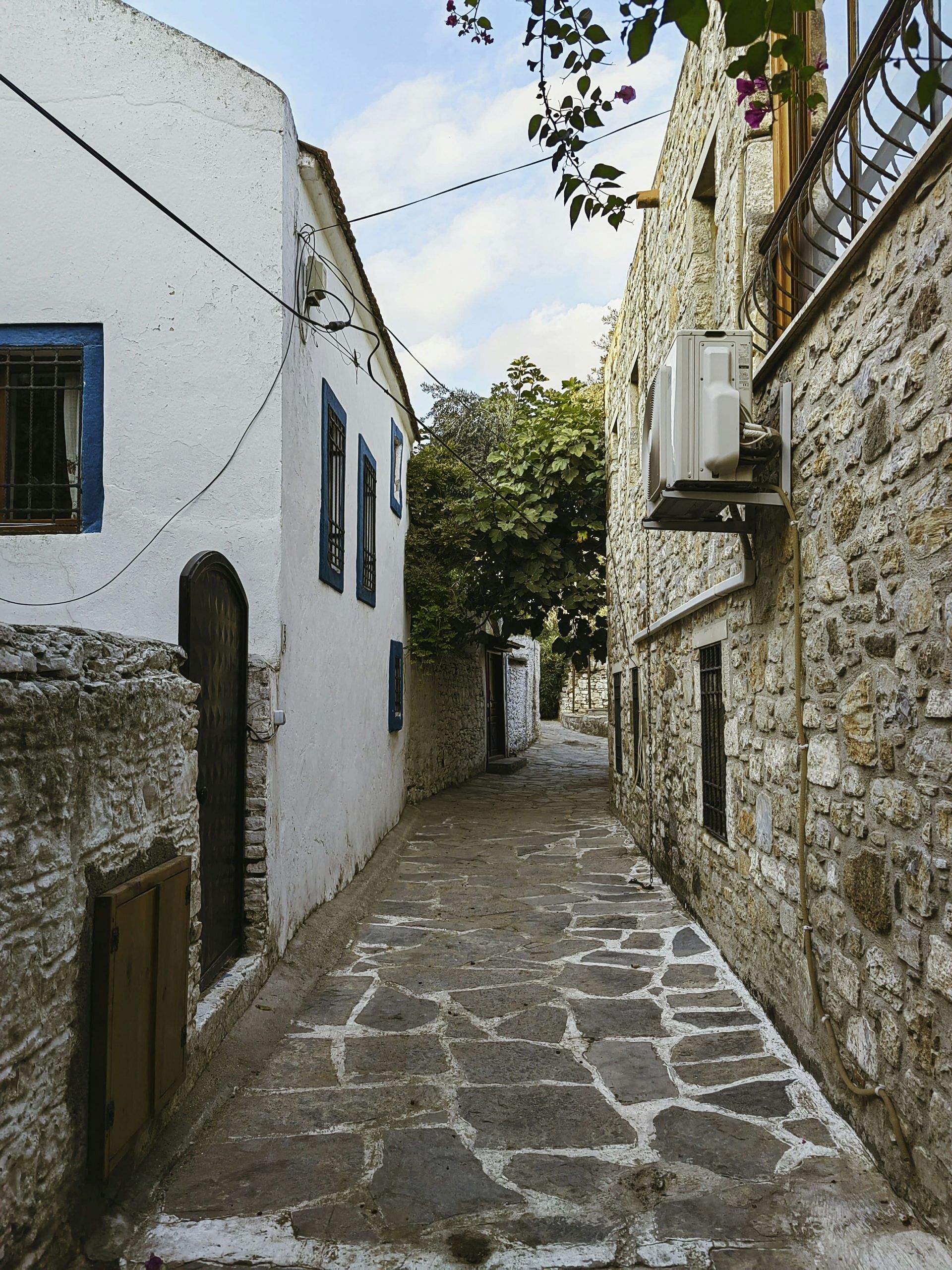 blog-images