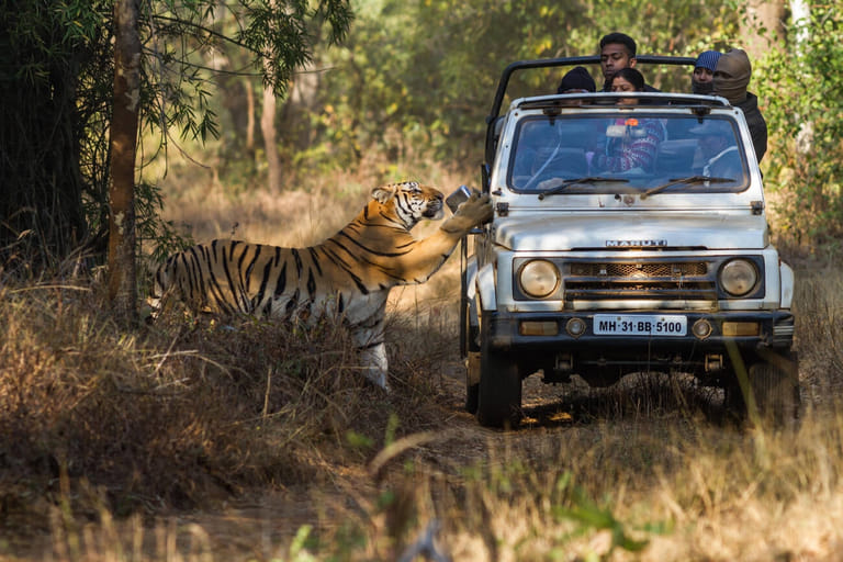 jeep-safari-in-spiti-valley