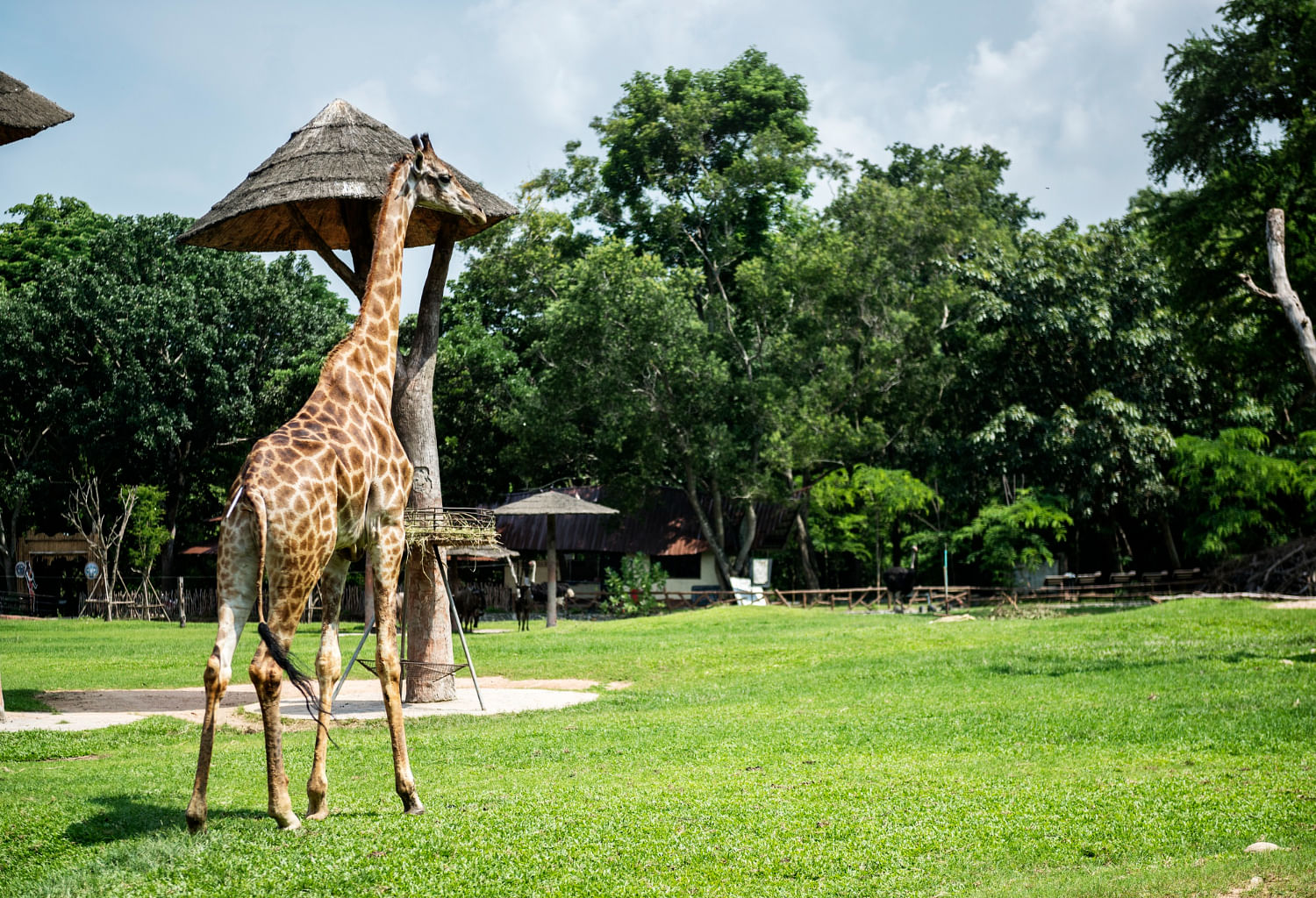 kanpur-zoological-park