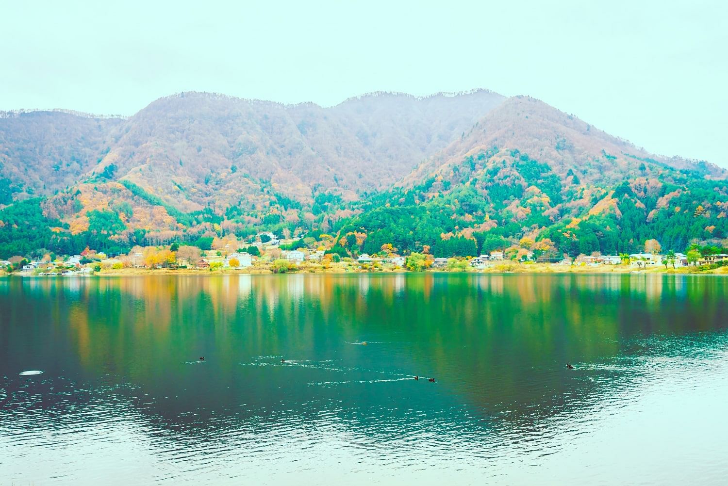 blog-images