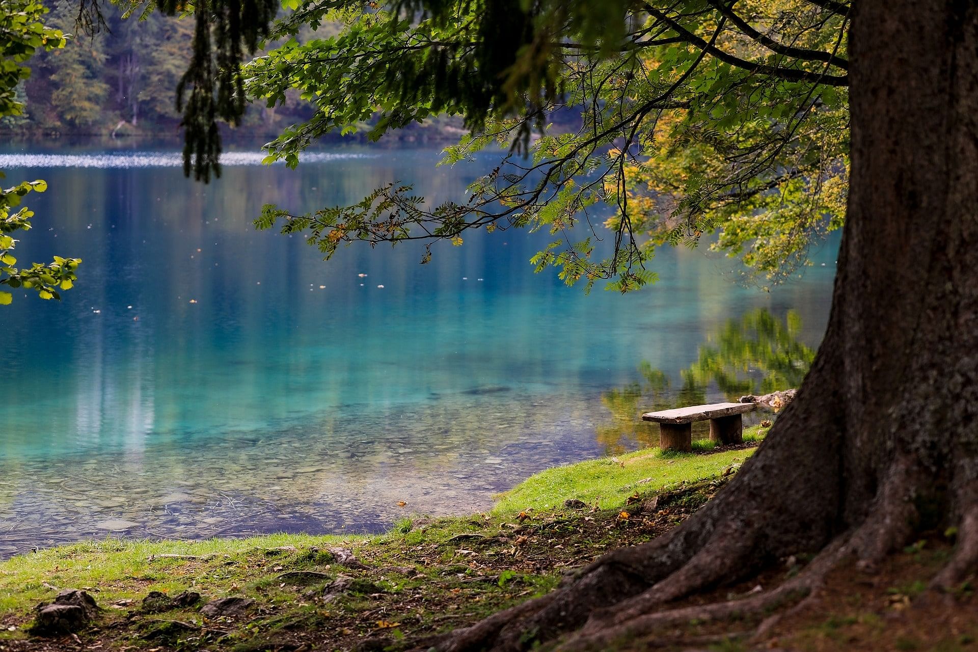 blog-images