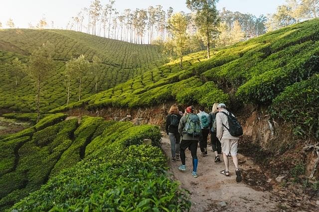 munnar