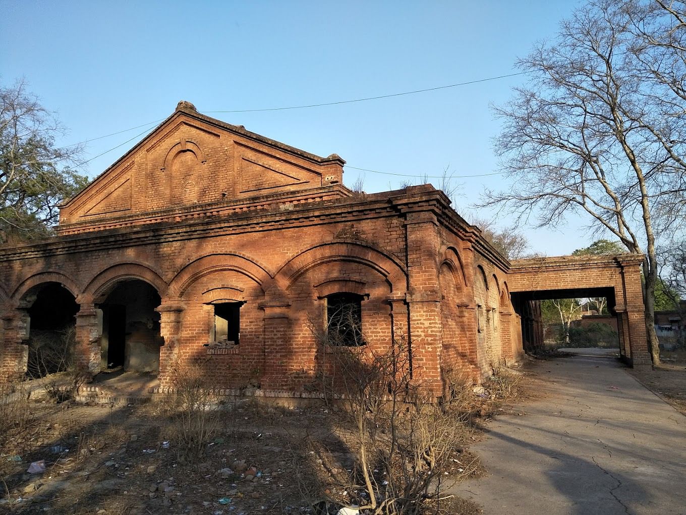 blog-images