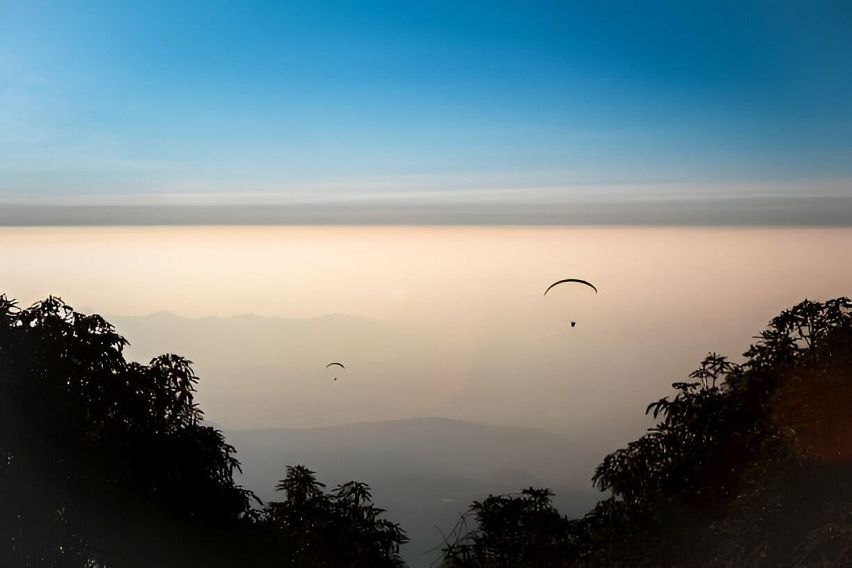 blog-images