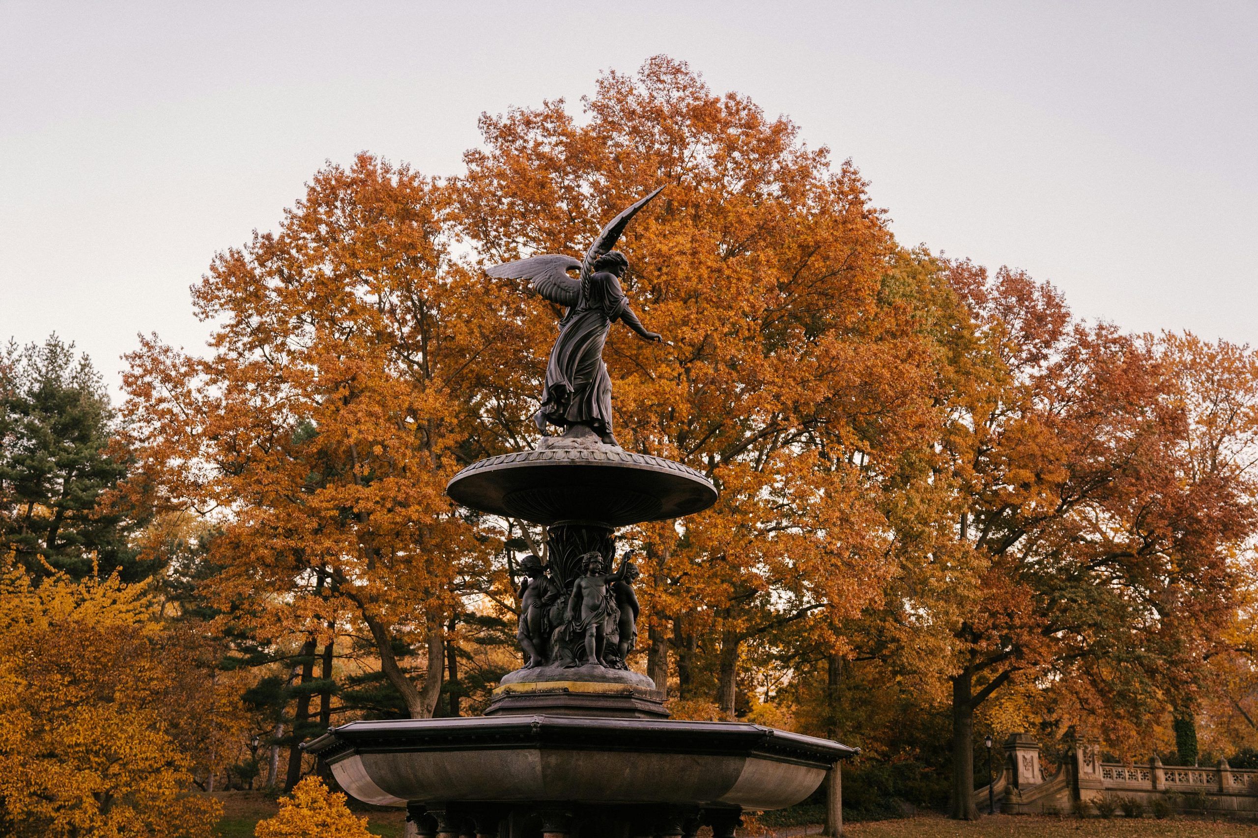 blog-images
