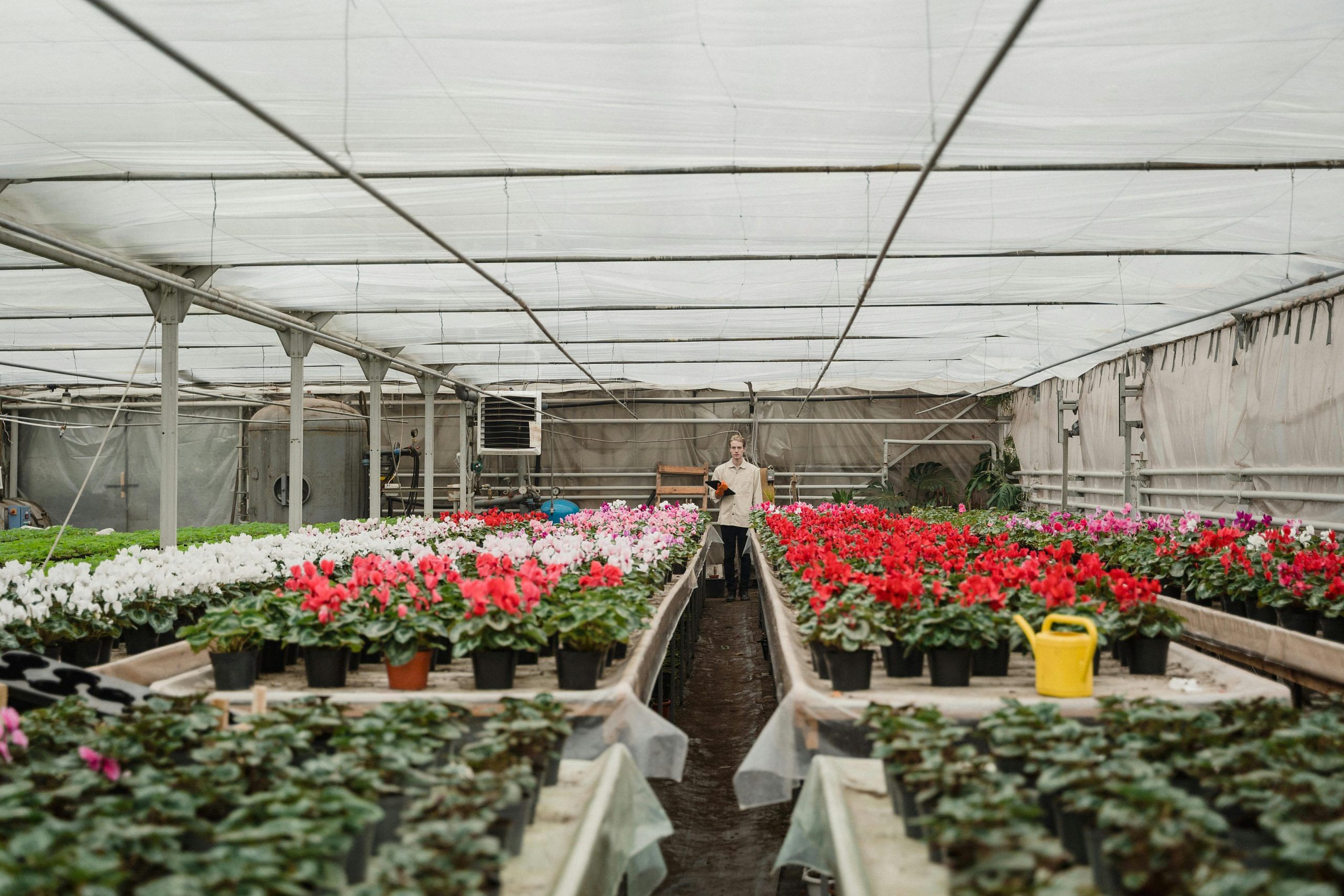 blog-images
