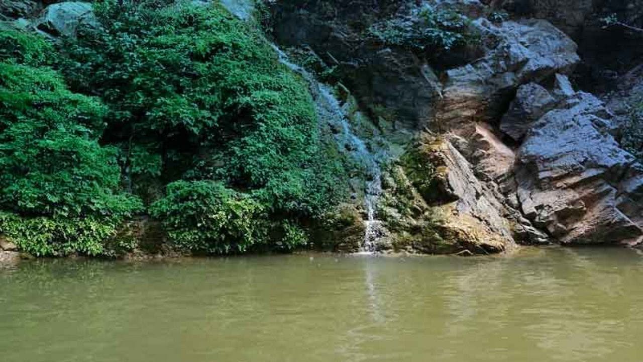 blog-images