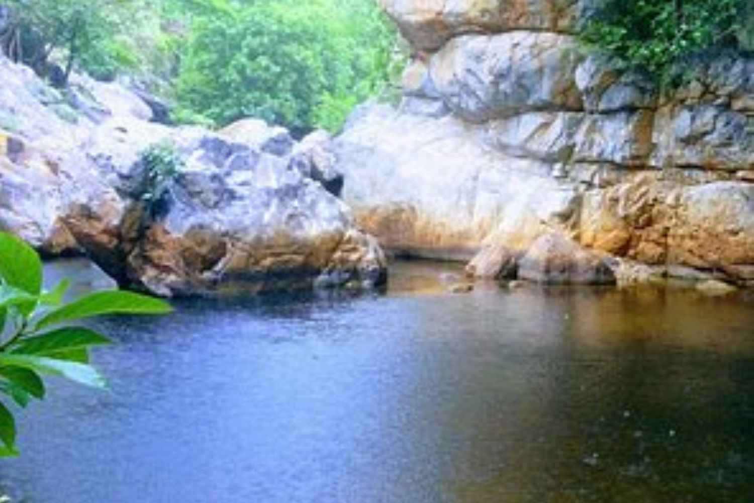 blog-images