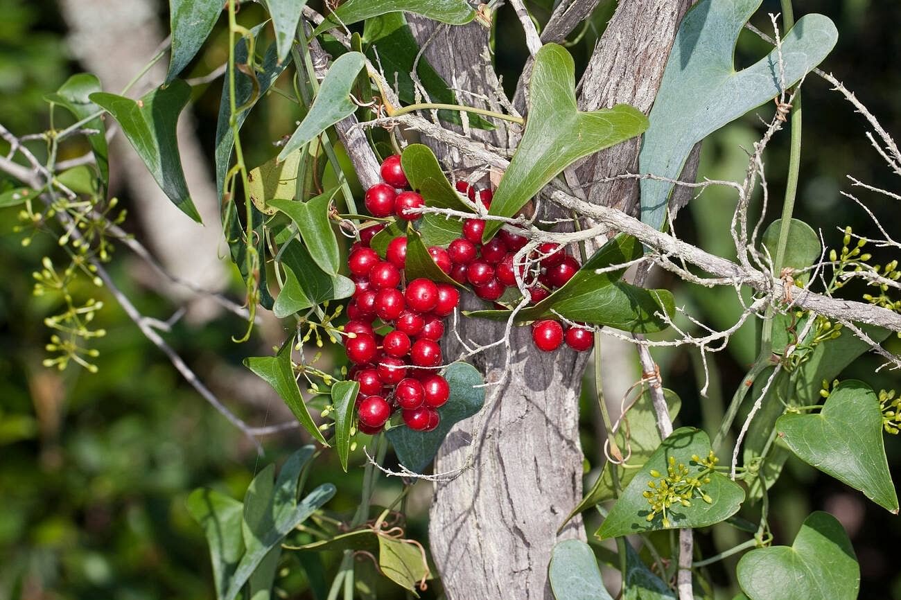 blog-images