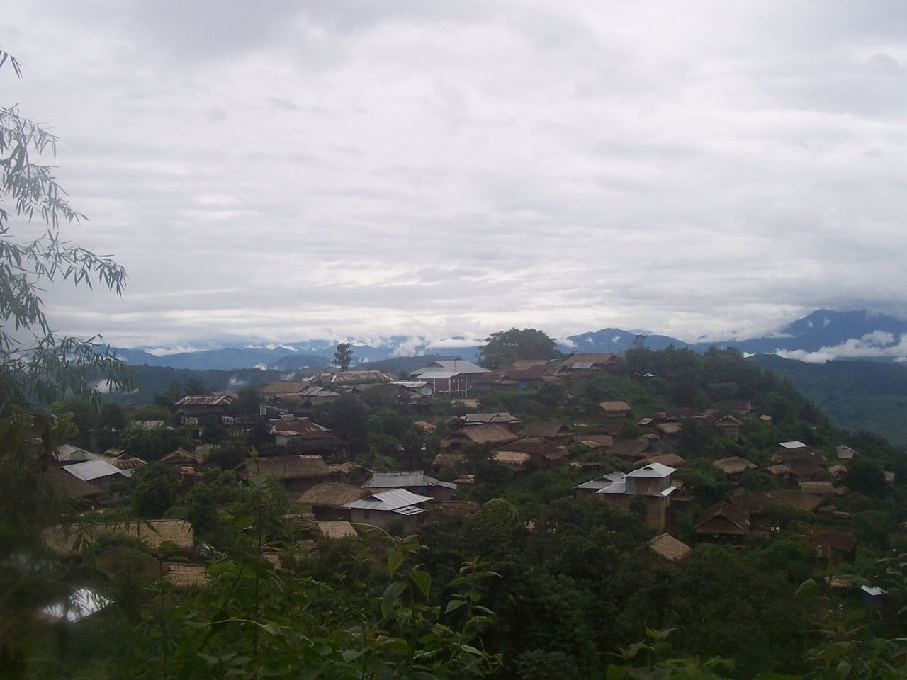 blog-images