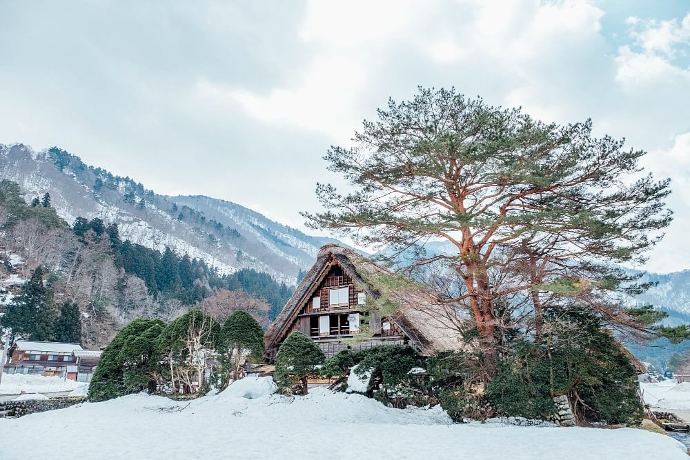 blog-images