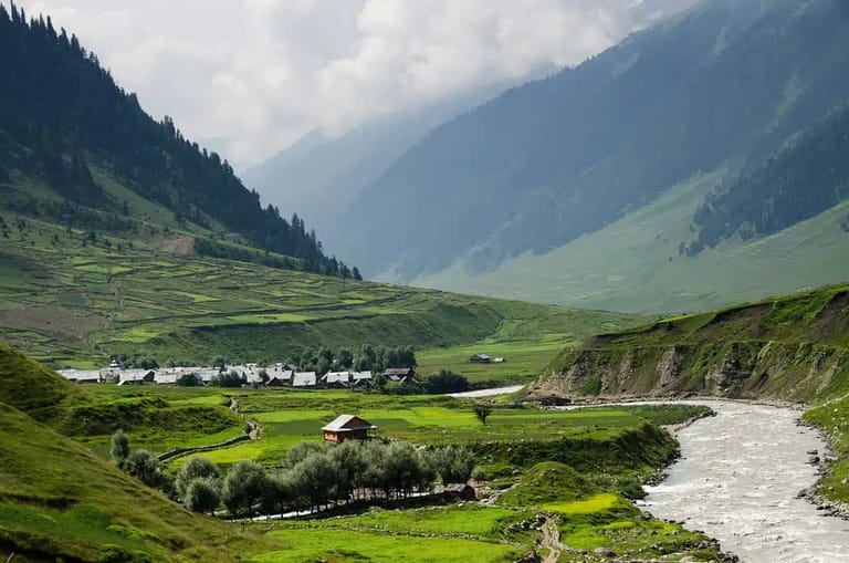 strawberry-valley-in-kashmir-