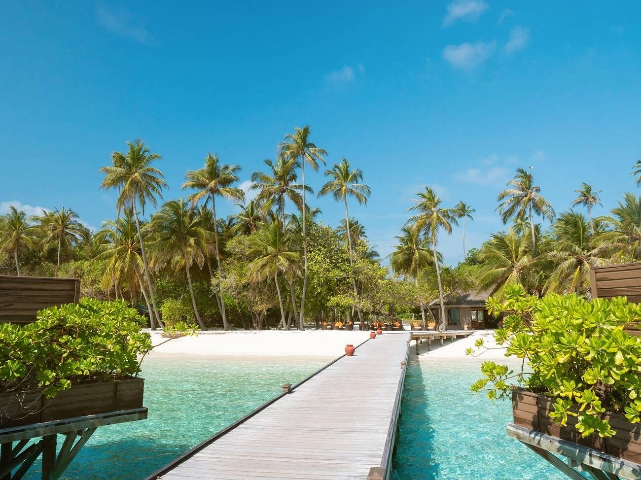 summer-in-maldives