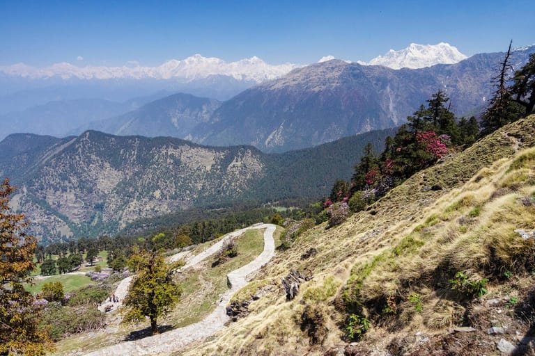 top-places-to-visit-in-chopta-ultimate-guide-