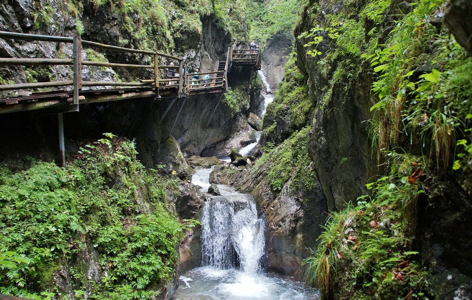 blog-images