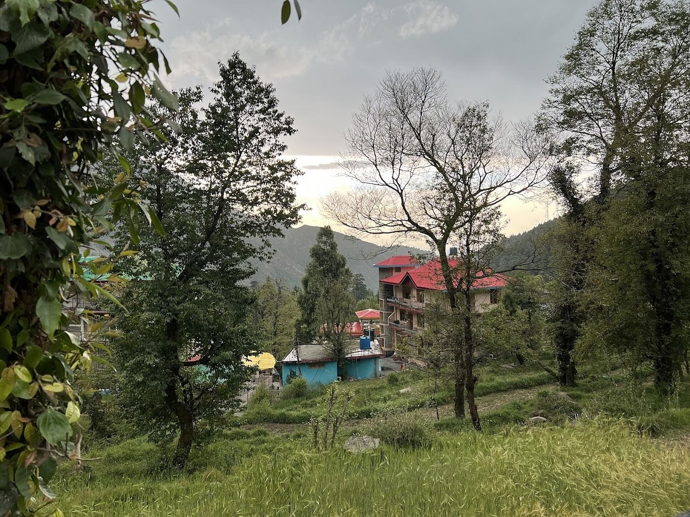 blog-images