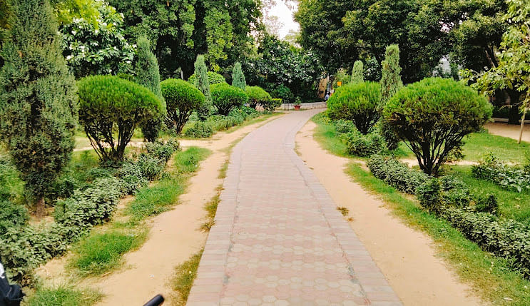 blog-images