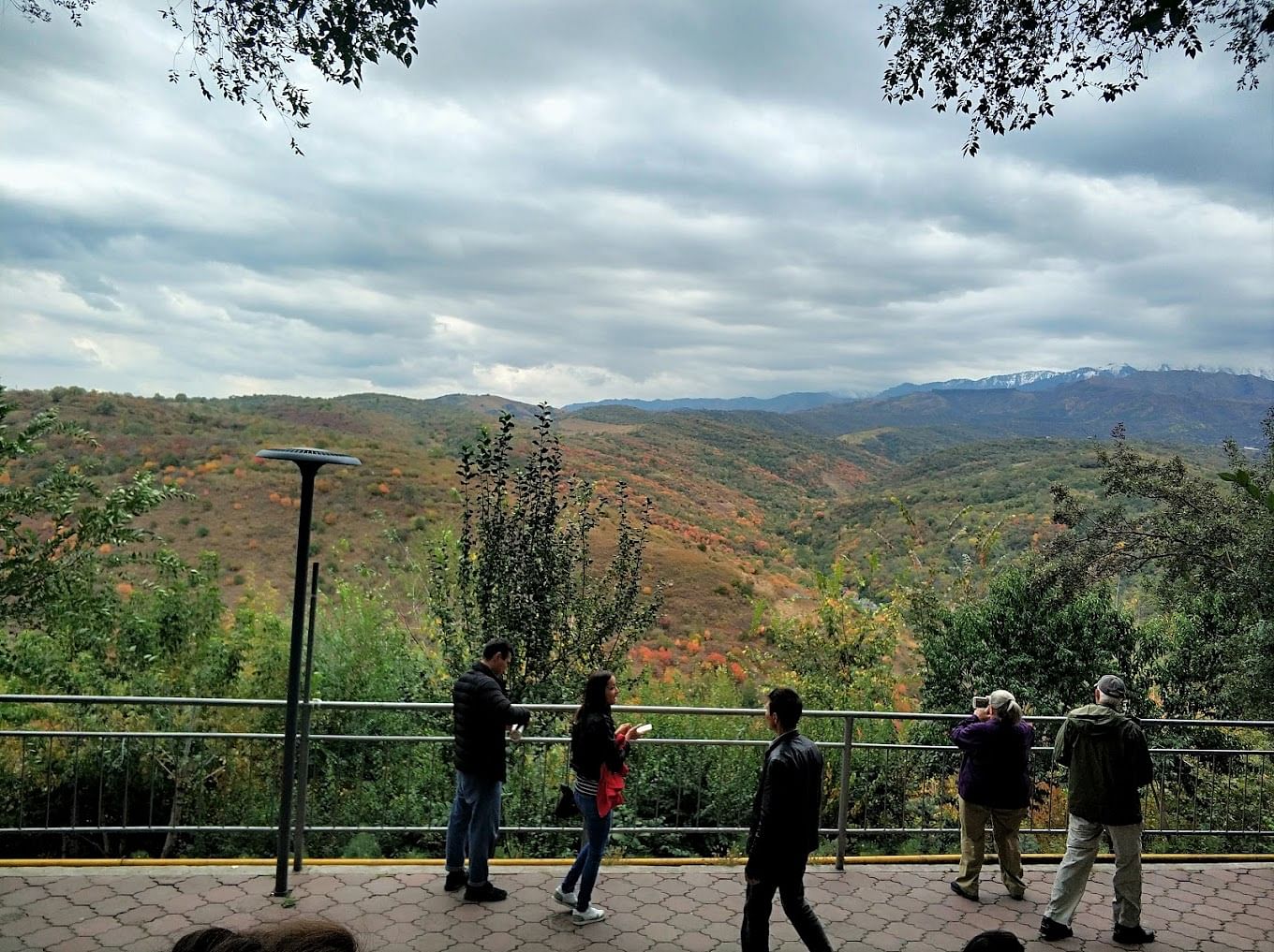 blog-images