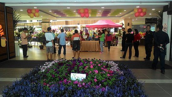 blog-images