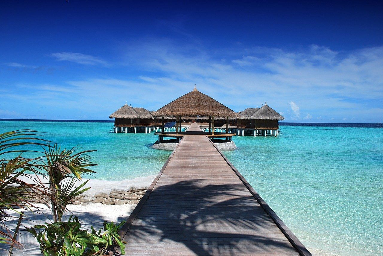 blog-images