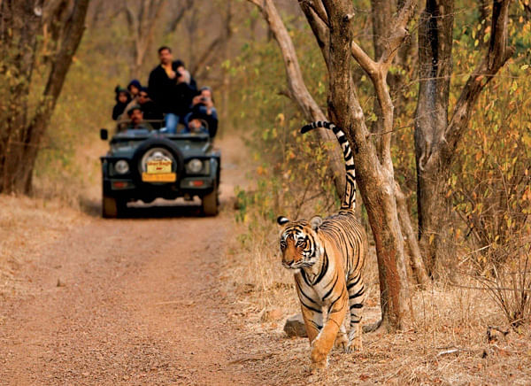 adventure-activities-in-kolar
